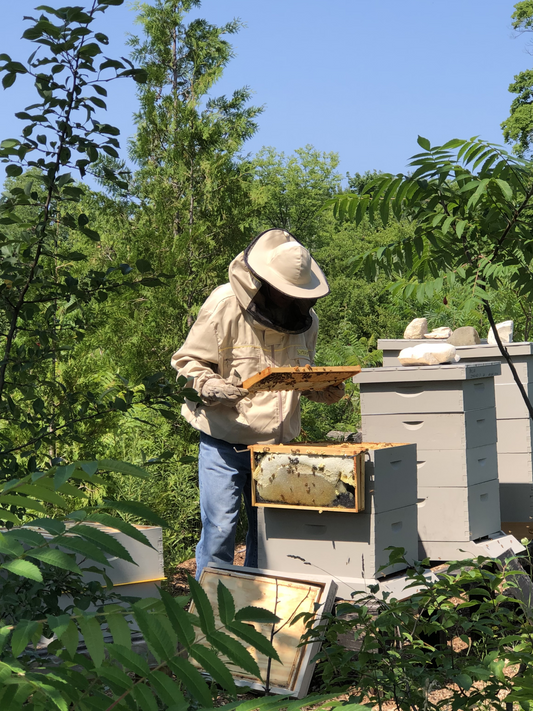 The Unofficial Science of Beekeeping