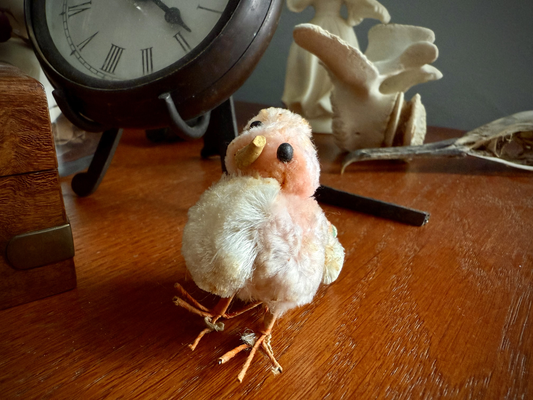The Reemergence of the Long-Lost Fuzzy Chick