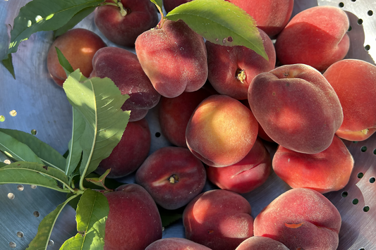Peach Heaven