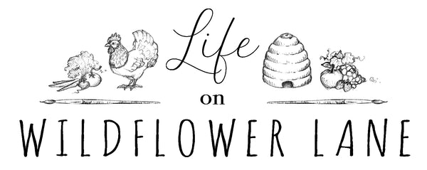 Bonnie Leick Illustrations